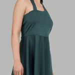 Women Fit & Flare Dress