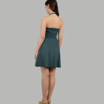 Women Fit & Flare Dress